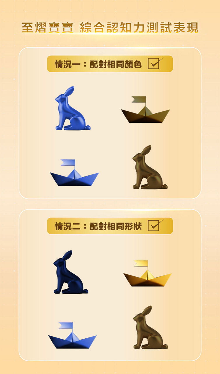 至熠寶寶 綜合認知力測試表現