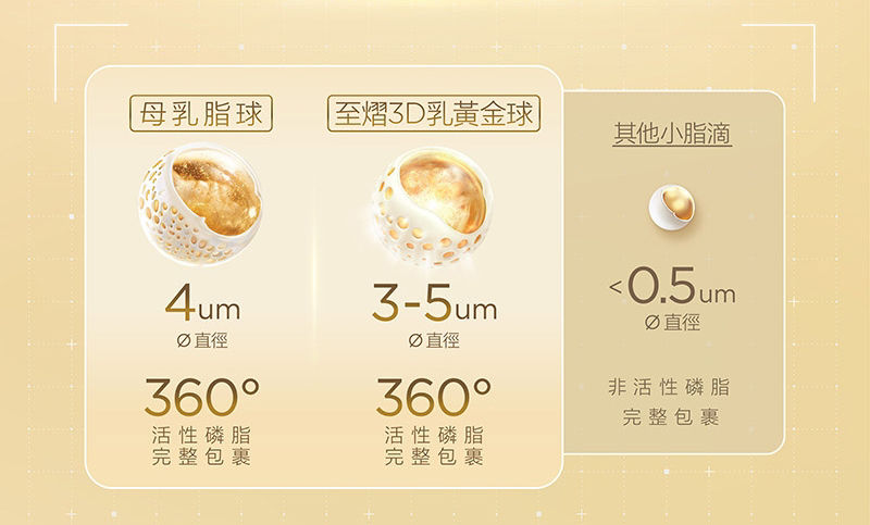 至熠3D乳黃金球，1:1模擬母乳脂球大小