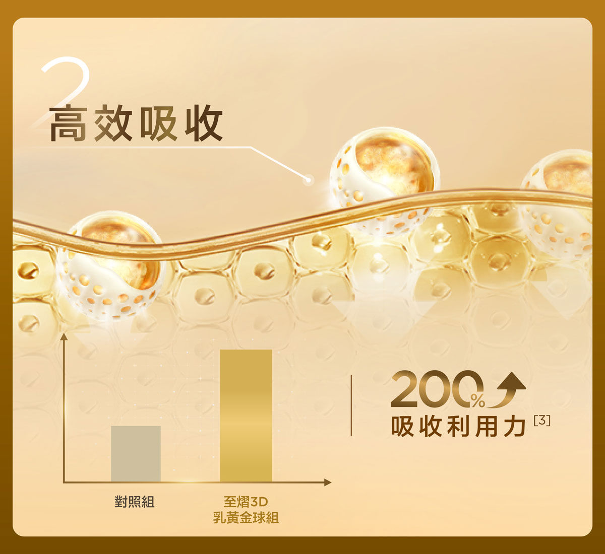 2. 高效吸收：200% 吸收利用力