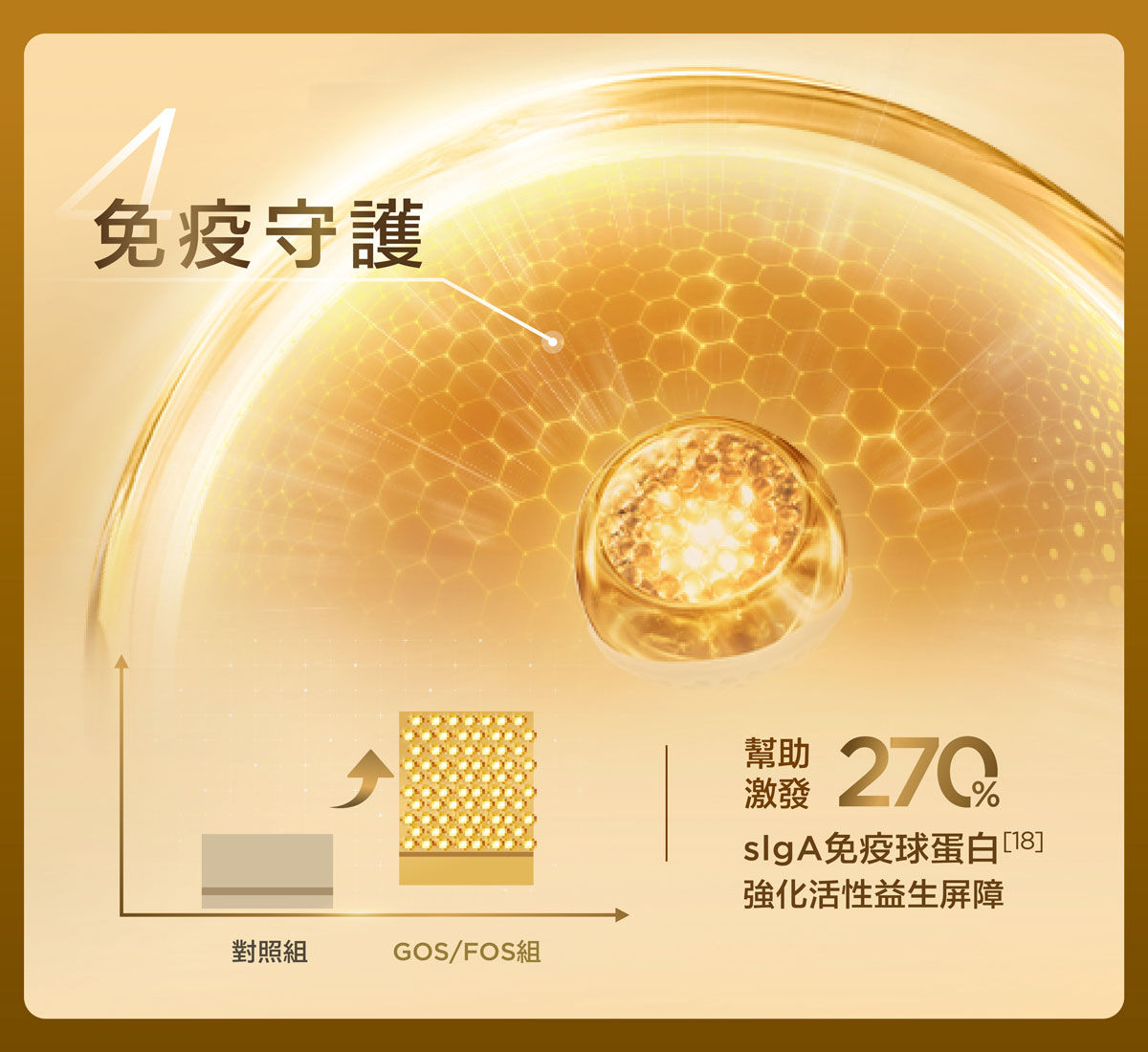 4. 效免疫守護：幫助激發270% sIgA 免疫球蛋白，強化活性益生屏障