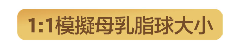 1:1模擬母乳脂球大小