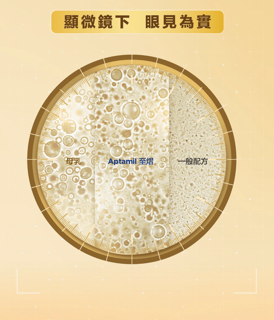 顯微鏡下眼見為實，母乳、Aptamil 至𦒉、一般配方