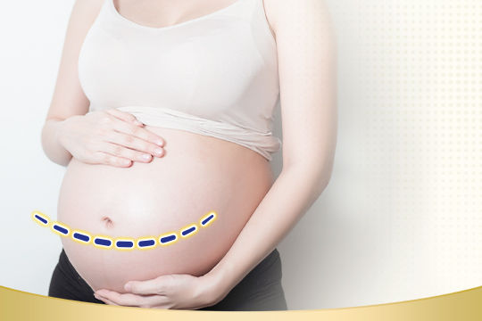 05-cover-pregnan-draft6-1