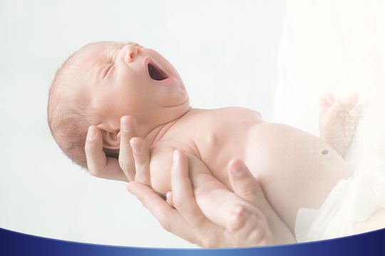 04-cover-pregnan-draft5_-1
