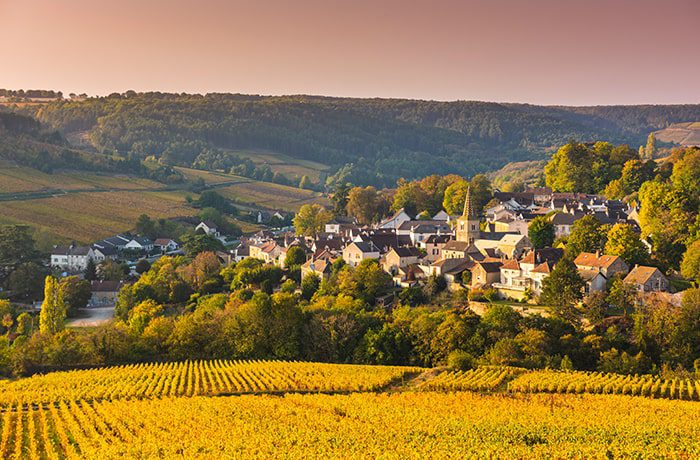 Savourez toute la nature du Sud