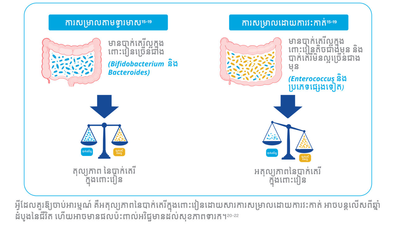 MCE C-Sec_M1_Nurse Blog_Khmer_v1.1_21Sep26