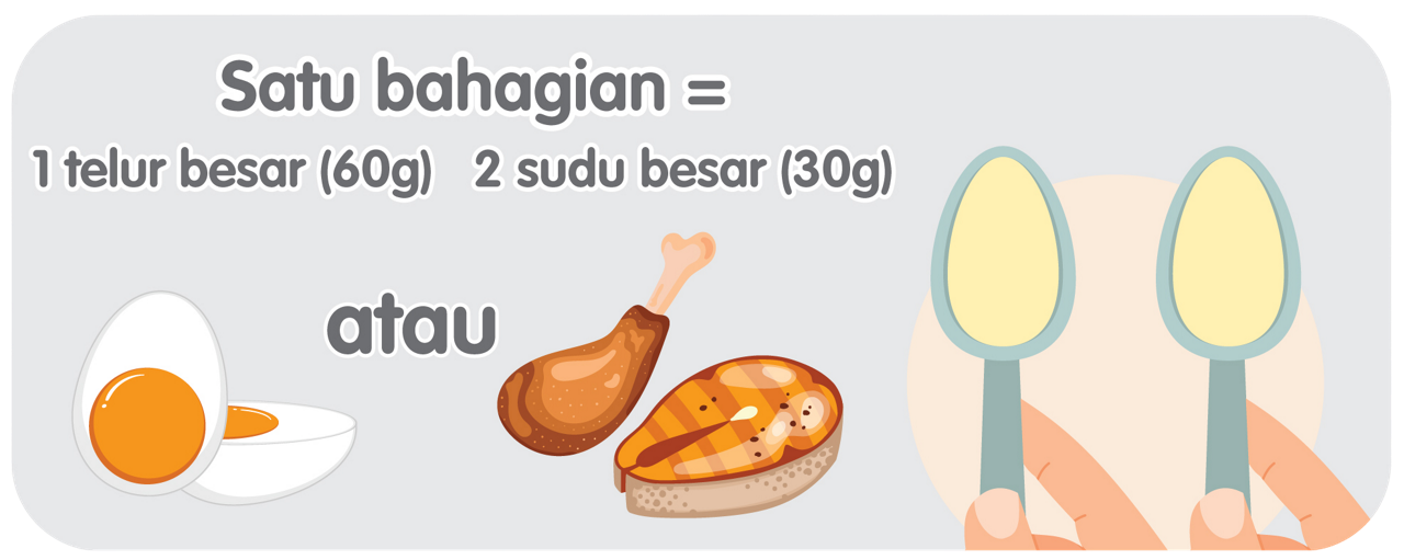 1-3 legume