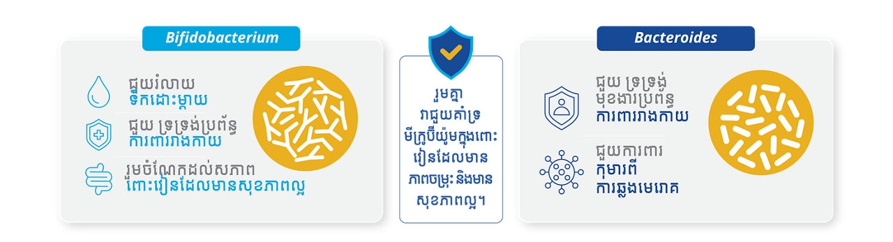 MCE C-Sec_M1_Nurse Blog_Khmer_v1.1_21Sep26