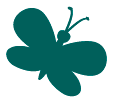 Illustration Schmetterling