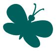 Illustration Schmetterling