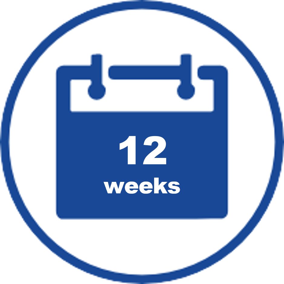 12 weeks icon