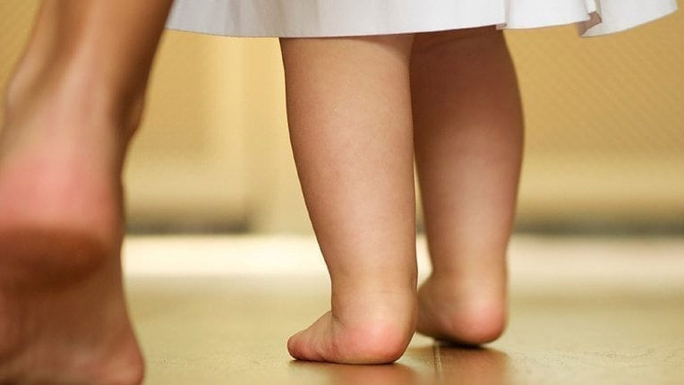 Oysters In Pregnancy