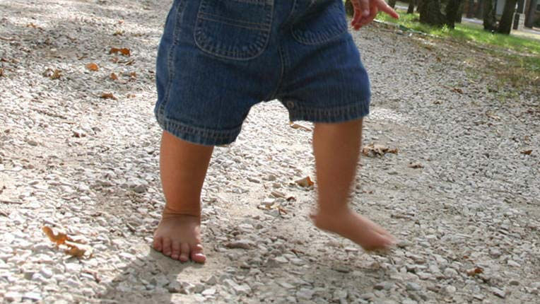 Oysters In Pregnancy