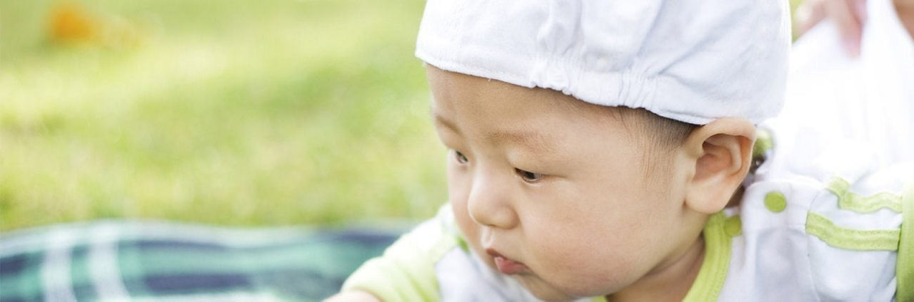 Oysters In Pregnancy