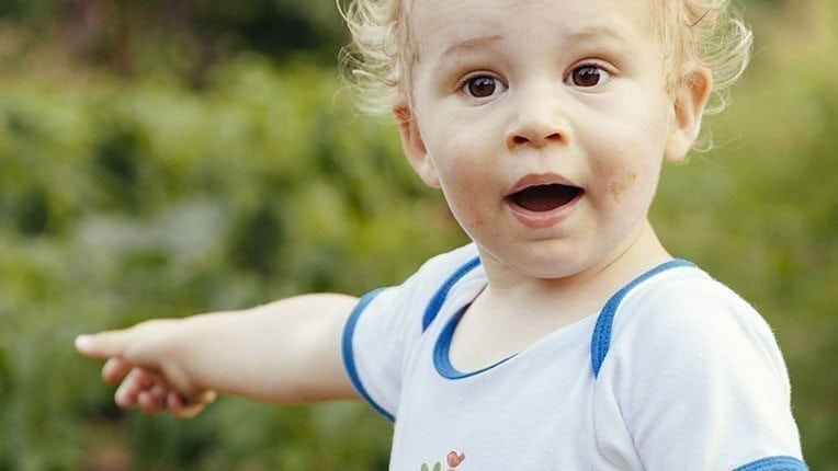 Oysters In Pregnancy