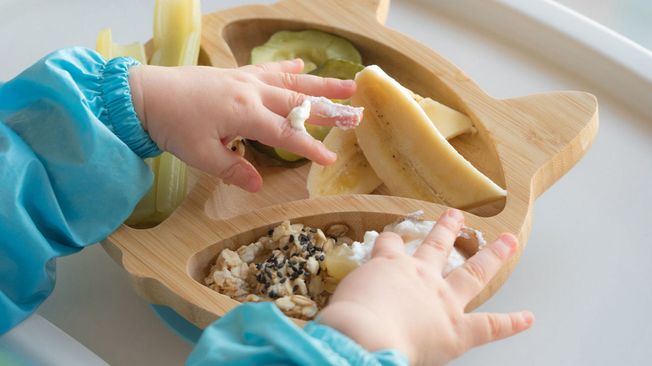 Manos de bebé con varios alimentos, representando la siguiente etapa del destete y la introducción de nuevas texturas en la alimentación