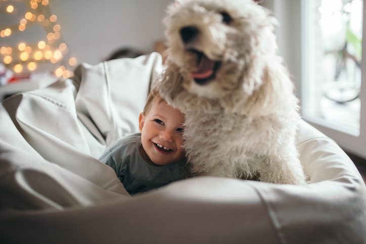 A baby boy(2 years) is playing with his dog. The dog is wearing fake rain deer ears. They are sitting in the lazy bag and enjoying.