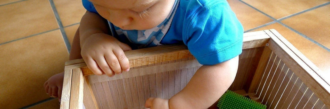 Oysters In Pregnancy