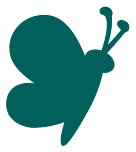 Schmetterling Trenner seitlich