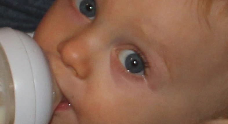 Oysters In Pregnancy