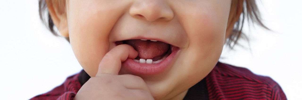 Oysters In Pregnancy