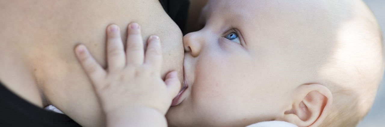 Oysters In Pregnancy