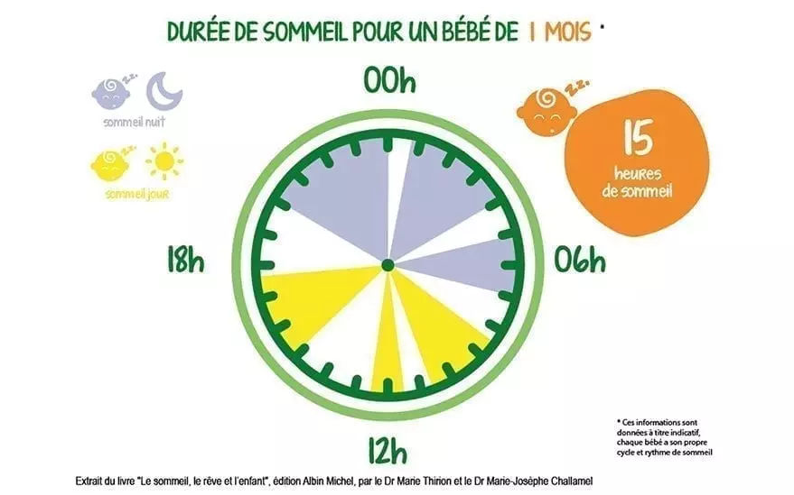 Illustration montrant la duree du sommeil d'un bebe de 1 mois. Le graphique circulaire met en evidence les habitudes de sommeil avec des segments jour et nuit, accompagnes d'ic�nes pour plus de clarte. Le texte affiche en evidence � 15 heures de sommeil � et comprend une ventilation des temps de sommeil. Les couleurs vives et les visuels simples rendent les informations accessibles.