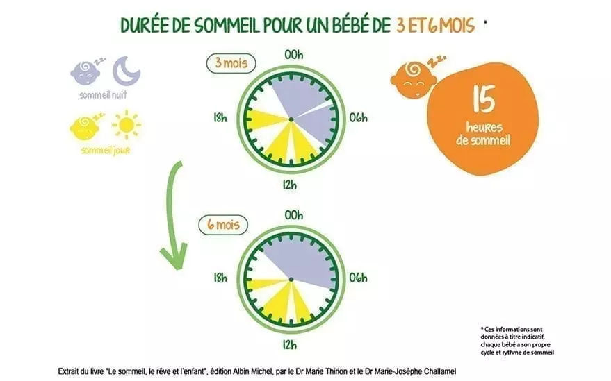 Illustration montrant les habitudes de sommeil des bebes �ges de 3 et 6 mois. Comprend des graphiques circulaires divisant le sommeil en segments de jour et de nuit. Le texte met en evidence � 15 heures de sommeil � et fournit des reperes visuels pour comprendre les cycles de sommeil. Les couleurs vives et les ic�nes ameliorent la lisibilite.