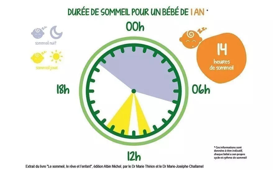 Illustration montrant la duree de sommeil recommandee pour un bebe d'un an. L'horloge divise le sommeil en segments diurnes et nocturnes, pour un total de 14 heures. Les ic�nes qui l'accompagnent comprennent un soleil, une lune et un escargot, soulignant les cycles jour/nuit. Le texte est en fran�ais et fournit des conseils clairs sur les habitudes de sommeil.