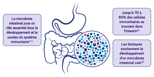 Nutr Biotics visuals