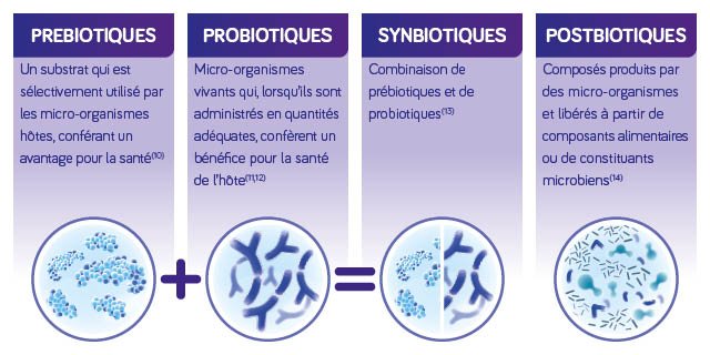 Nutr Biotics visuals