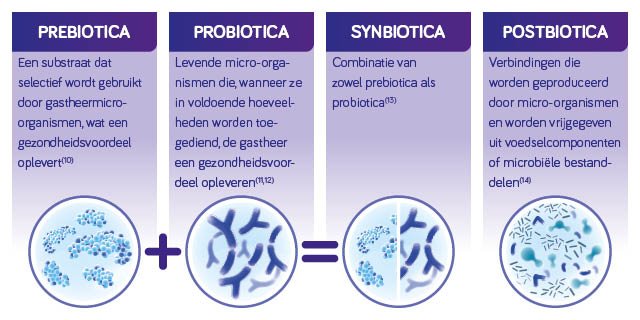 Nutr Biotics visuals