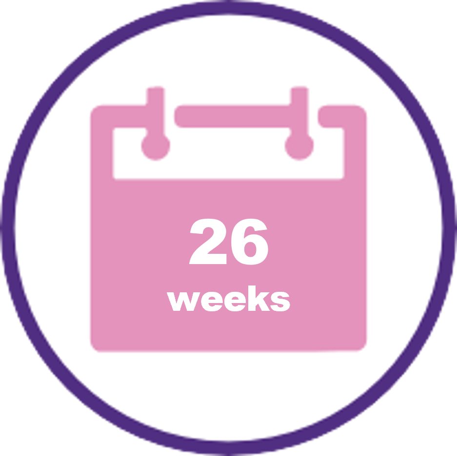 26 weeks icon