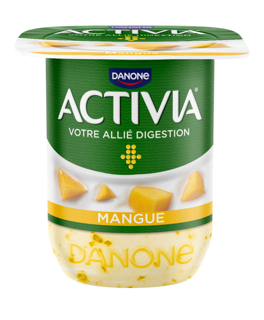 Mangue