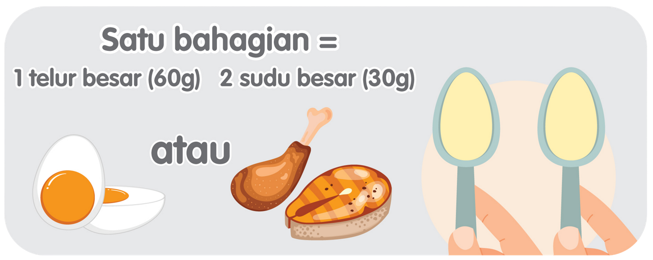 4-6 legume