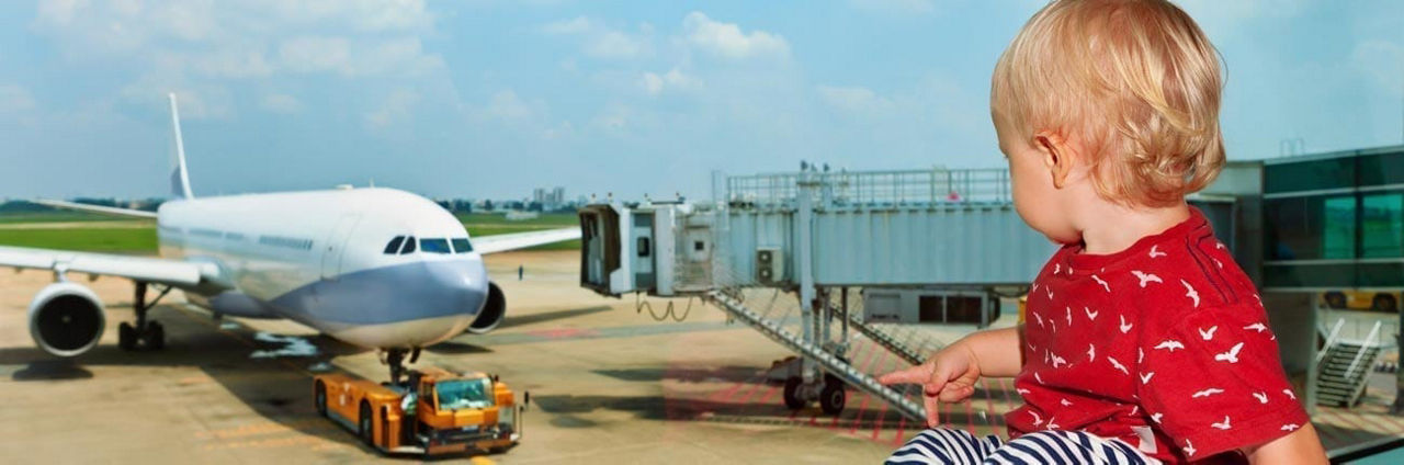 Oysters In Pregnancy