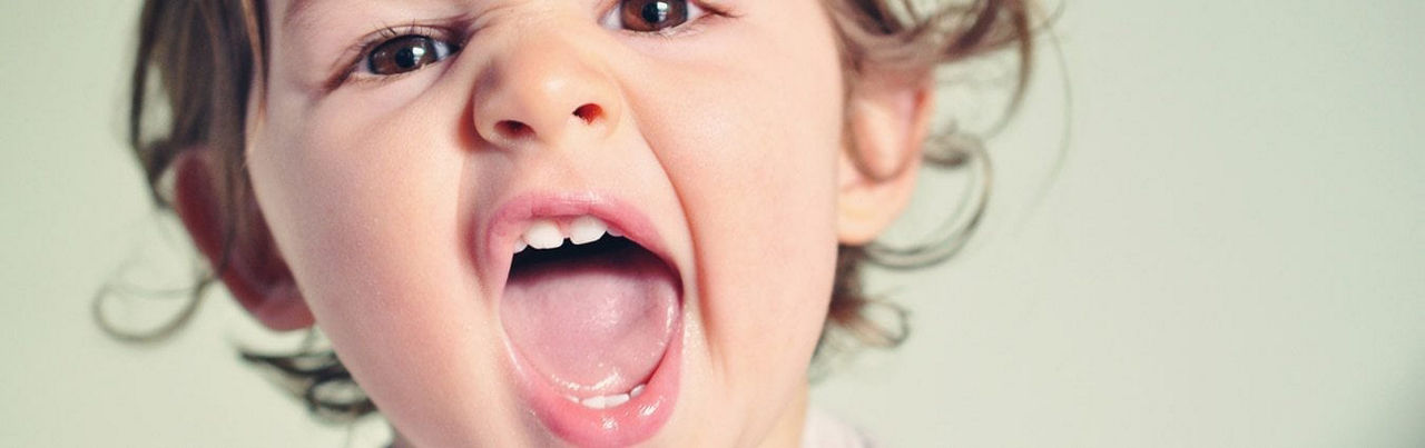 Oysters In Pregnancy