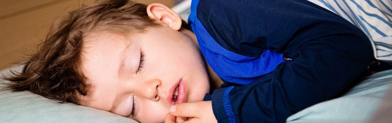 Oysters In Pregnancy