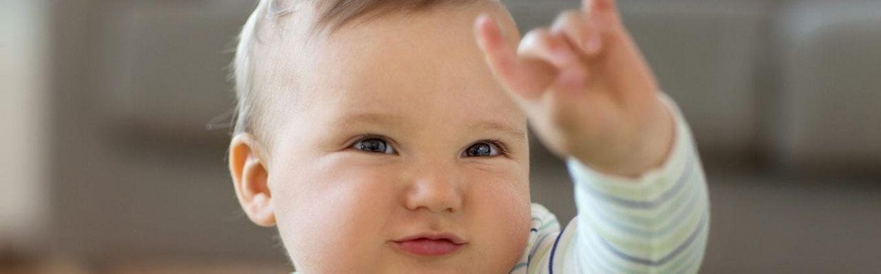 Oysters In Pregnancy