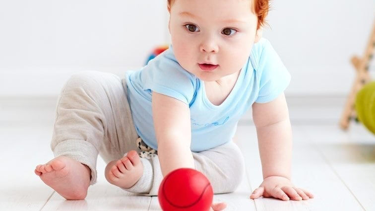 Oysters In Pregnancy