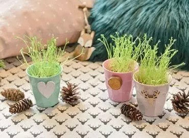 Trois petits pots decoratifs contenant des pousses vertes sont places sur une surface en tissu a motifs representant des cerfs. Les pots sont de couleur pastel (vert, rose et lavande) et chacun est orne de motifs uniques, tels qu'un c�ur, un cercle et des bois. Des pommes de pin sont dispersees autour, et un coussin moelleux ainsi qu'un plaid en fourrure ajoutent a l'atmosphere chaleureuse.