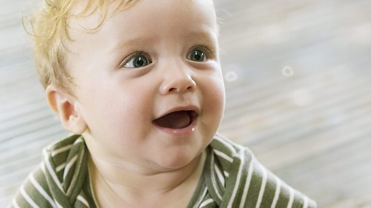 Oysters In Pregnancy