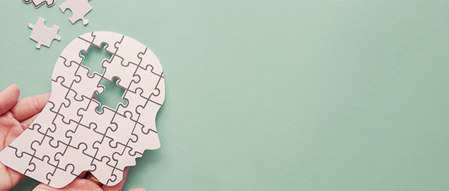 puzzle in the shape of a head