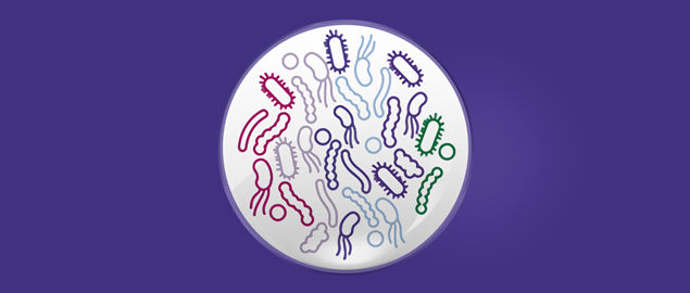 ALLER0022-Salminen-tile-635x270