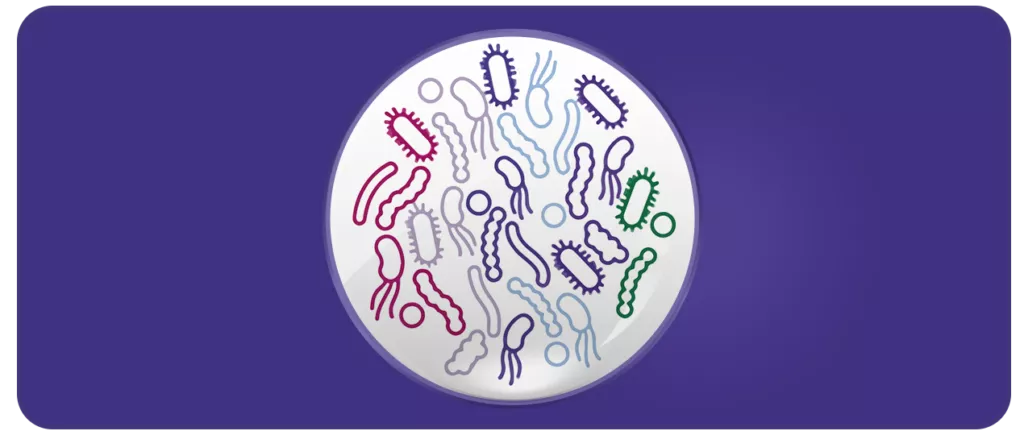 A circular illustration showcasing various colorful bacteria shapes in red, blue, green, and purple hues. The design is set against a solid purple background, emphasizing the vibrant microbial visuals. The image highlights diversity in bacterial forms and colors.