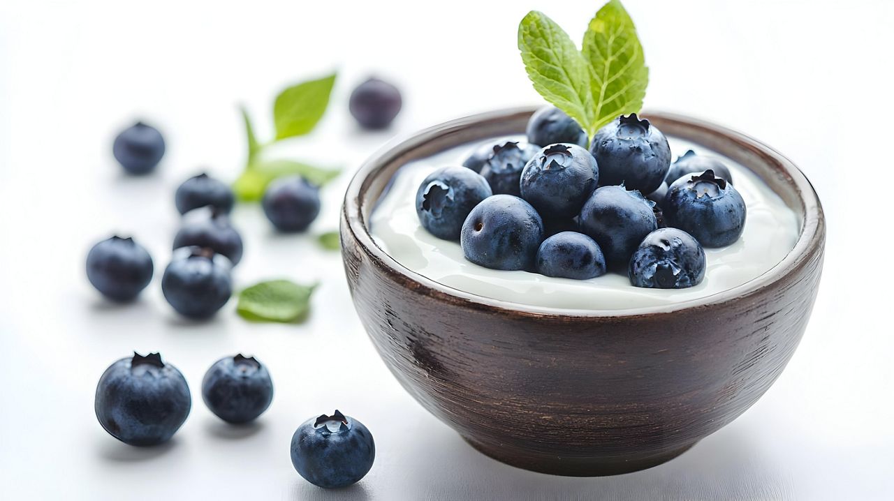 Bowl of delicious yogurt with blueberries