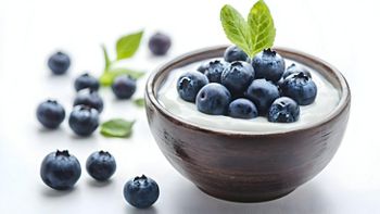 Bowl of delicious yogurt with blueberries