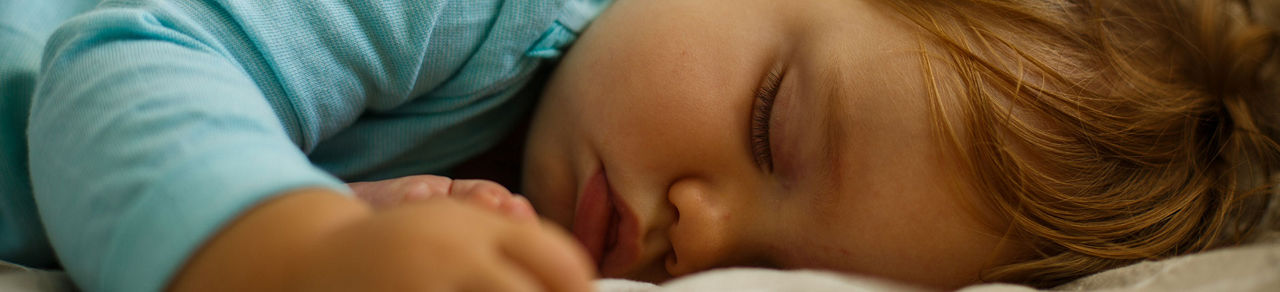 Oysters In Pregnancy