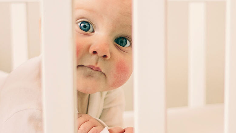 Oysters In Pregnancy