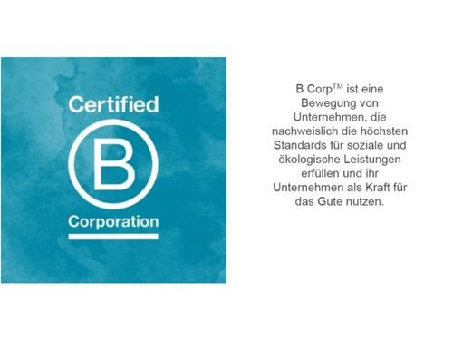 B Corp Logo